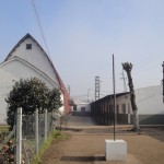 Ins7n